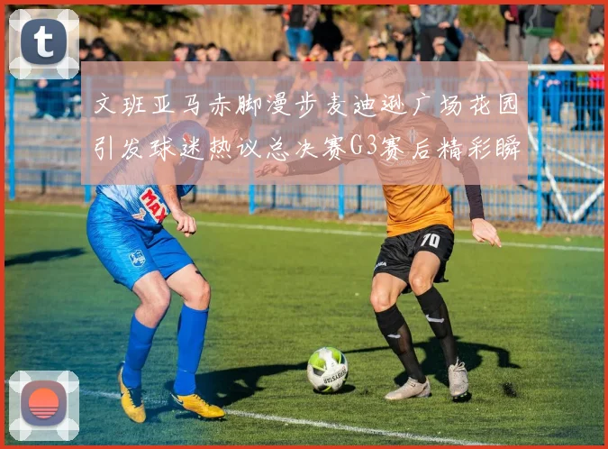 文班亚马赤脚漫步麦迪逊广场花园引发球迷热议总决赛G3赛后精彩瞬间