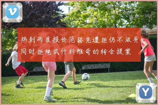 热刺两度报价范赫克遭拒仍不放弃同时拒绝武什科维奇的转会提案